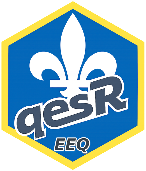 qesR logo
